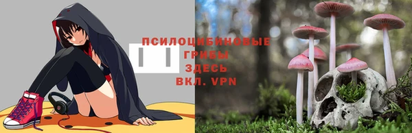 метадон Верея