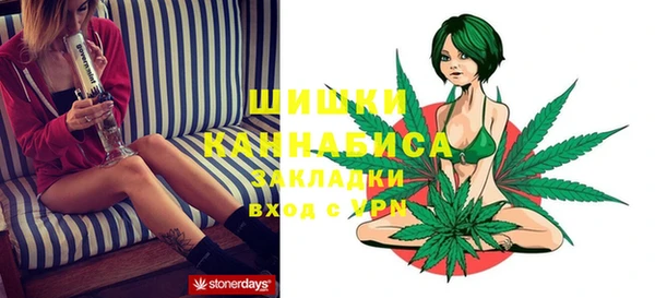 индика Верхнеуральск